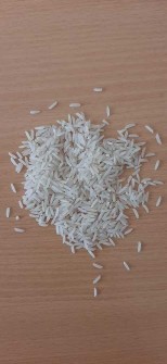  غلات | برنج ایرانی خارجی