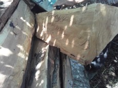  مصالح ساختمانی | چوب فروش چوب هیزمی