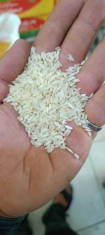  غلات | برنج برنج ایرانی عنبربو کامفیروز شمال