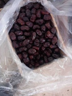  میوه | خرما مضافتی