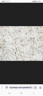  غلات | برنج انواع برنج
