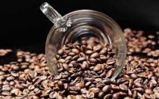  نوشیدنی | قهوه عربیکا کنیا خام و فله ای