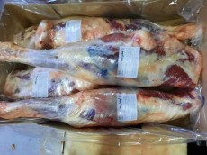  مواد پروتئینی | فرآورده گوشتی گوشت منجمد گوسفندی
