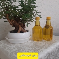  چاشنی و افزودنی | روغن خوراکی روغن کنجد خالص