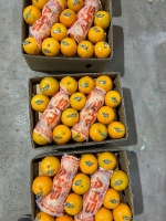  میوه | نارنگی وارداتی از پاکستان