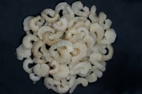  مواد پروتئینی | میگو میگو دریایی پاک شده
