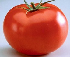  صیفی | گوجه گوجه سسی و ربی