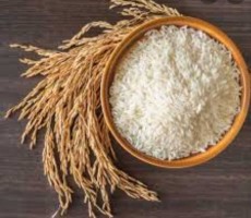  غلات | برنج برنج محلی طارم