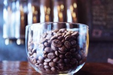  نوشیدنی | قهوه عربیکا و ربوستا