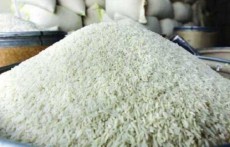  غلات | برنج صدری هاشمی