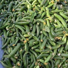  کنسانتره و کنسرو | خیارشور خیارشوری کارخونه ای و خیار بازاری