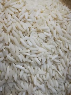  غلات | برنج برنج هاشمی و نیم دانه هاشمی