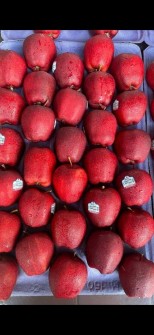  میوه | سیب سیب سفید و قرمز