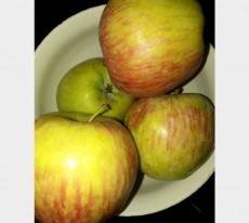 میوه | سیب سیب قرمز ارگانیک درجه 1