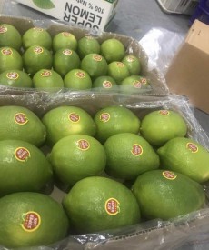  میوه | لیمو ترش ليسمون و محلي
