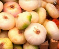 صیفی | سیر موسیر