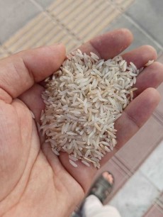  غلات | برنج برنج سوپر باسماتی رنگی