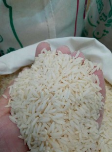  غلات | برنج هاشمی عطری
