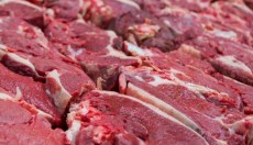  مواد پروتئینی | گوشت لاشه گوشت گوساله نرینه