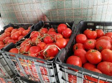  صیفی | گوجه گوجه گوشتی