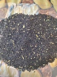  بذر و نهال | بذر بذر سیاهدانه بومی