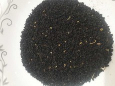  بذر و نهال | بذر بذر پیازچه اردستانی