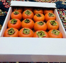  میوه | خرما خرمالو شیراز