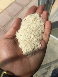  غلات | برنج برنج ندا