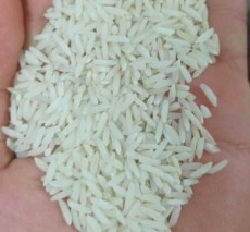  غلات | برنج برنج طارم هاشمی درجه1