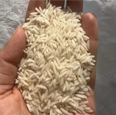  غلات | برنج برنج طارم محلی مازندران