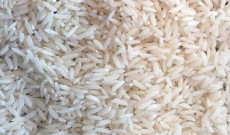  غلات | برنج برنج هاشمی