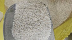  غلات | برنج برنج نیم دانه هاشمی فوق عطری سورت شده و بشرط