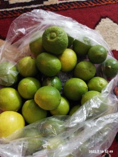  میوه | لیمو ترش لیموترش