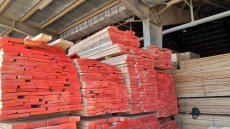  مصالح ساختمانی | چوب چوب راش