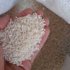  غلات | برنج برنج عنبر بو شوشتر خالص