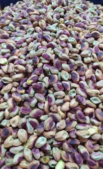  خشکبار | پسته مغز پسته فندقی