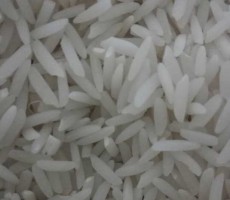  غلات | برنج برنج هاشمی درجه یک گیلان