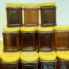  دامپروری | عسل عسل 100 درصد خالص بلوط و آویشن