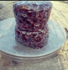 میوه | خرما مضافتی