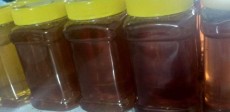  دامپروری | عسل عسل کنار و گون