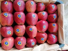  میوه | سیب درجه یک سه ردیفه