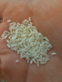  غلات | برنج نیم دانه
