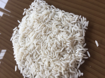  غلات | برنج شيرودي