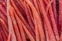  صیفی | هویج هویج قرمز