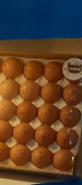  مواد پروتئینی | تخم مرغ تخم مرغ سفید و رنگی