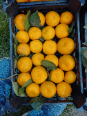  میوه | نارنگی ژاپنی