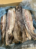  مواد پروتئینی | ماهی ماهی قزل آلا رنگی