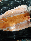  مواد پروتئینی | ماهی ماهی قزل آلا سالمون