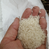  غلات | برنج برنج فجر شمال