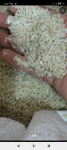 غلات | برنج چمپا